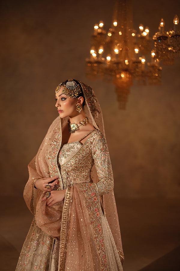 Farah & Fatima ||Shesha Silk Fabric ||  Wedding Dress main image 1